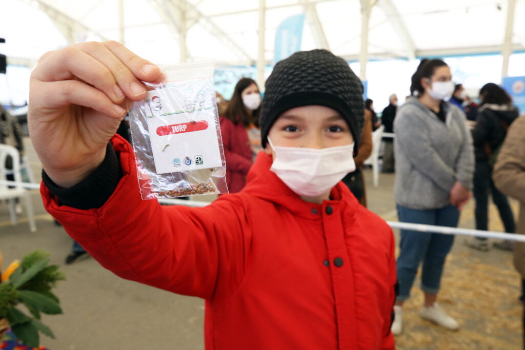 NİLÜFER’DE YERLİ TOHUM DAĞITIMI SÜRÜYOR