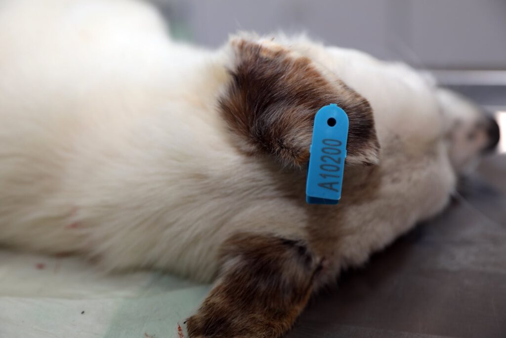 Mudanya Beledi̇yesi̇’nden destek