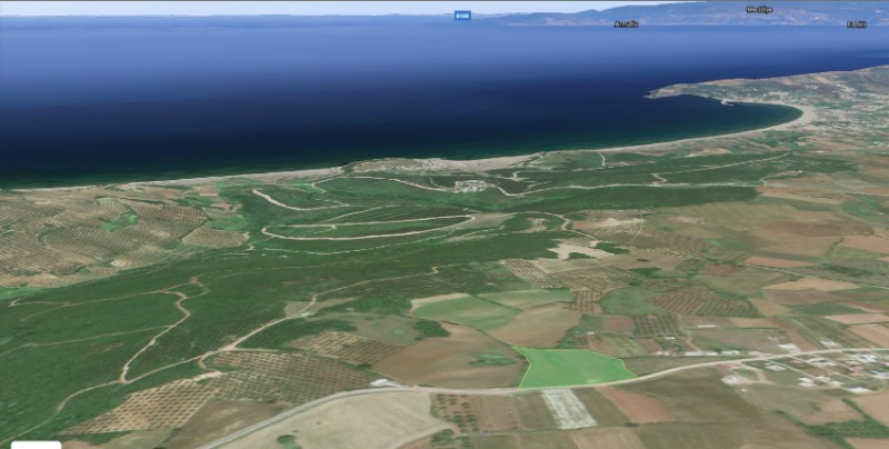 Mudanya Söğütpınar’da 1326 m2 tarla mahkemeden satılık