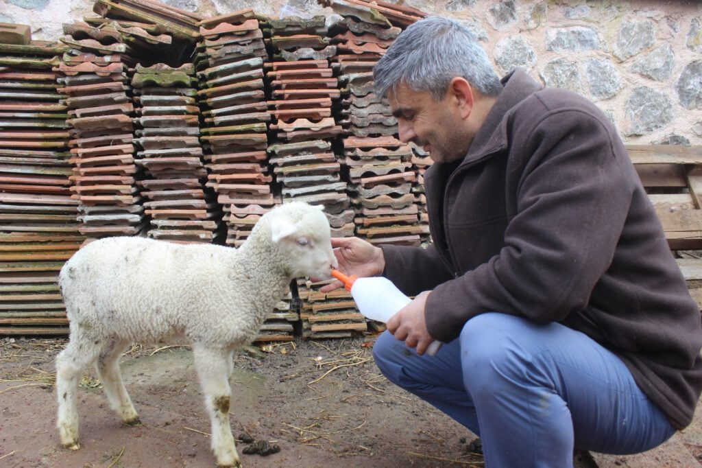 İmamla Kuzunun Sevi̇mli̇ Dostluğu