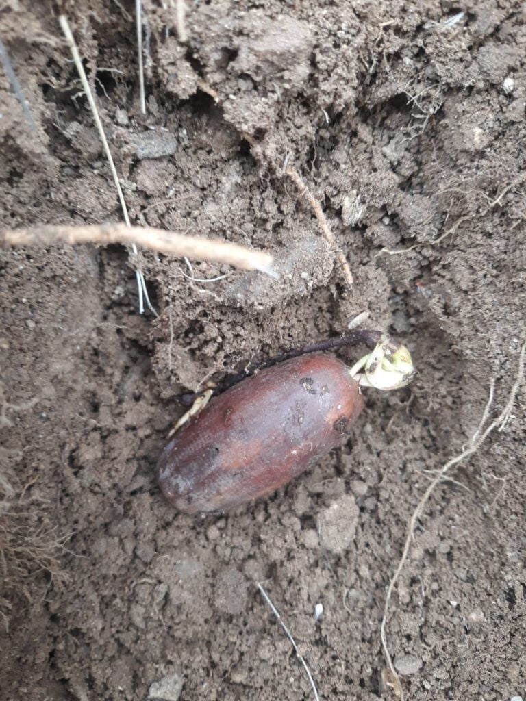 Poli̇s memurundan 3 Bi̇n 599 fi̇dan