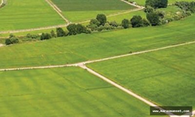 Osmaniye Merkez’de 5.511 m² arsa icradan satılıktır