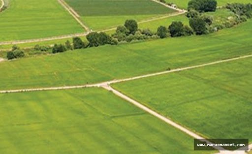 Osmaniye Merkez’de 5.511 m² arsa icradan satılıktır