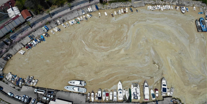 Deniz salyası bu kez Körfez’i tamamen kapladı