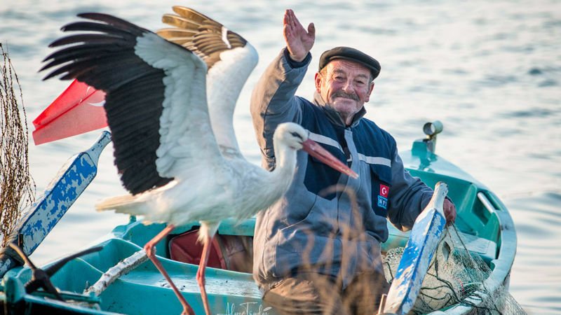 Adem Amca’ya müjdeli haber: Yaren Leyleğin 4 yavrusu dünyaya geldi