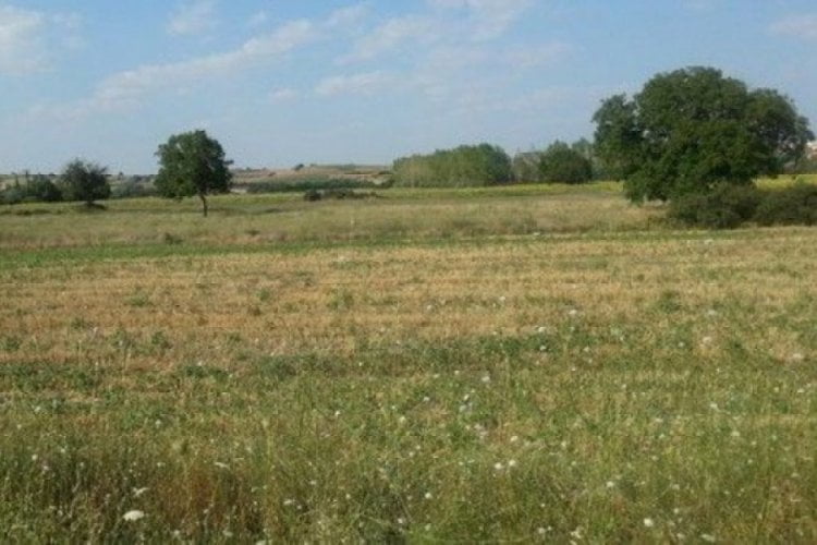 Mahkemeden satılık tarla