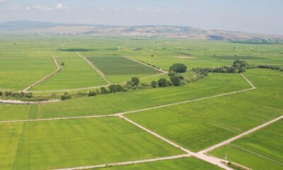 Büyükbalıklı’da 600 m2 arsasatılık