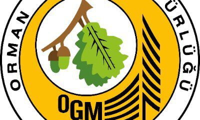 Orman İşletme Müdürlüğü alım yapacak