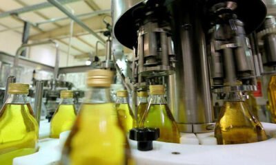 Erdek’te zeytinyağı fabrikası ve arazisi satılıktır