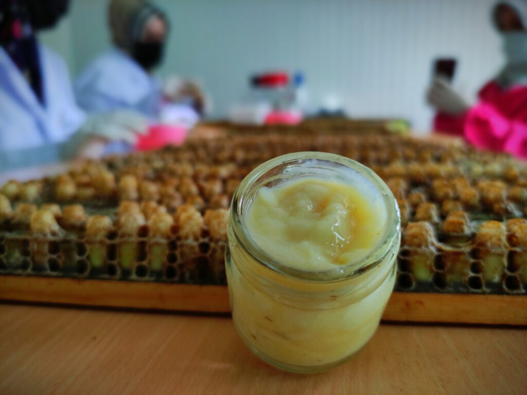 Bu sütün kilosu 8 bin lira!