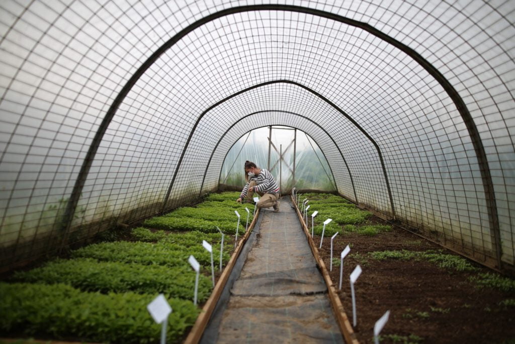 Kent Bostanları’nın tohumları dakikalar içinde dağıtıldı