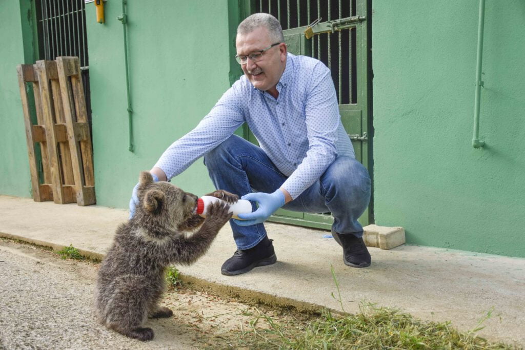 Ormanda bulundu, barınağın gözdesi oldu