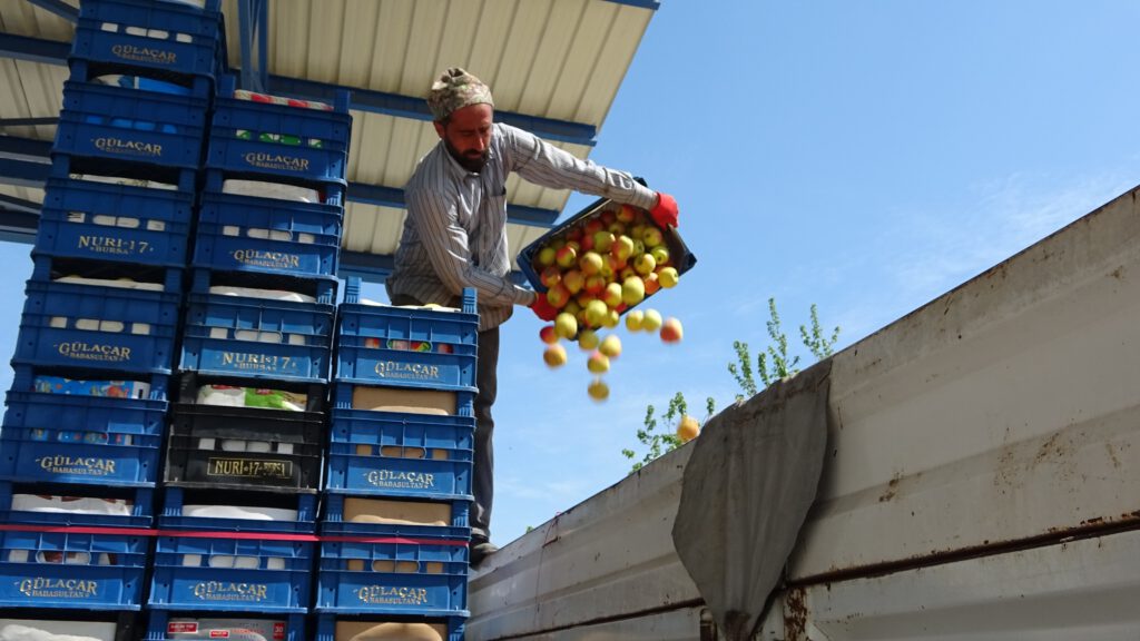 Bursa’da tonlarca meyve soğuk hava depolarında kaldı