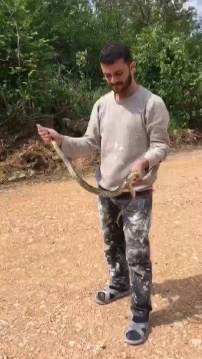 Yolda bulduğu yılanla oyuncak gibi oynadı