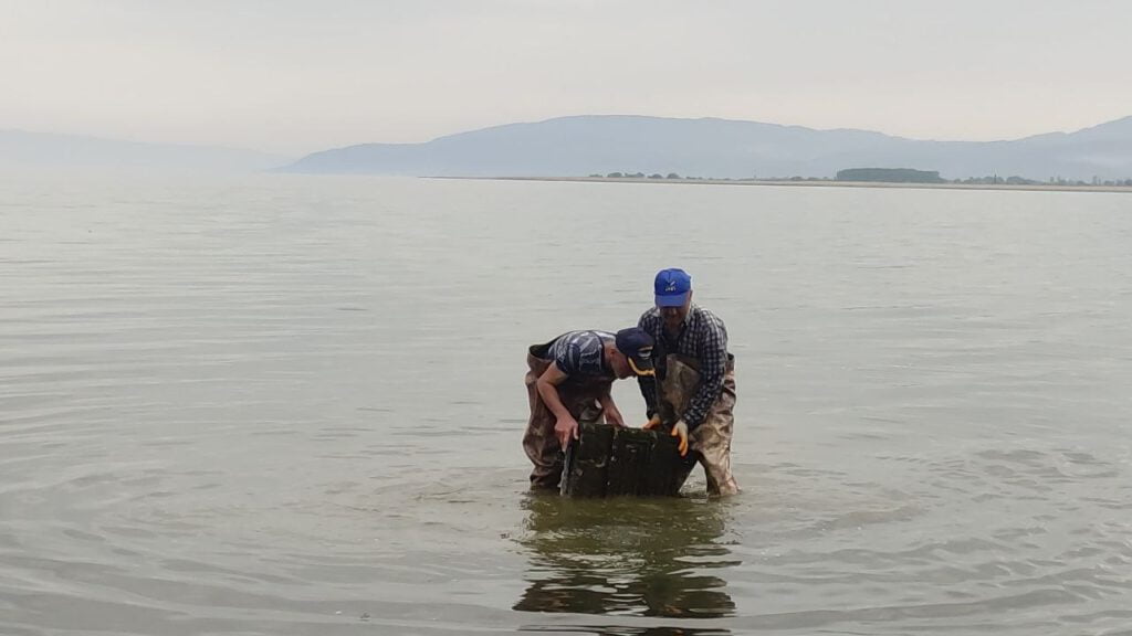 Bu sefer ağlara takılan balık olmadı!
