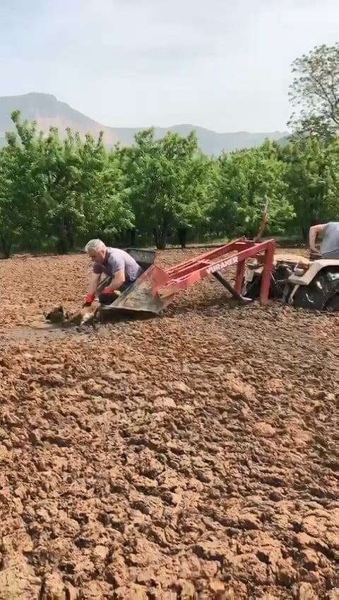 Saatlerce bataklıkta kurtarılmayı bekledi!