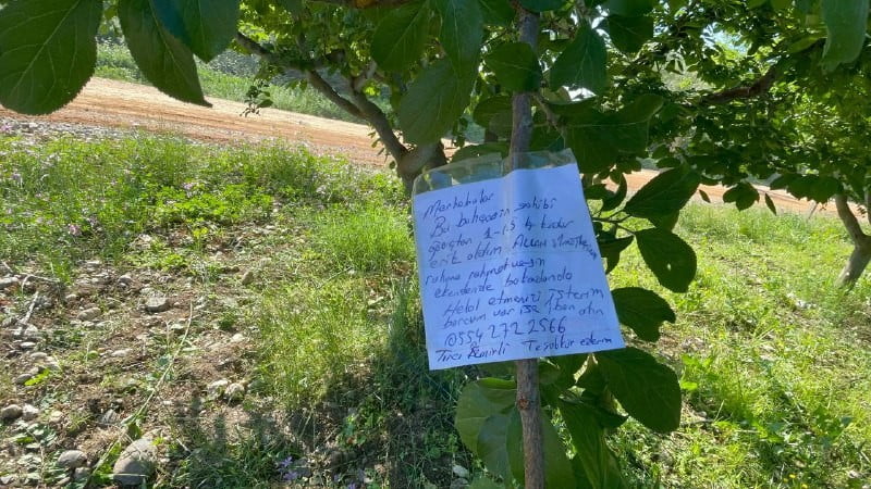 Erik ağacının dalına not bıraktı, “Borcum var ise iban atın”