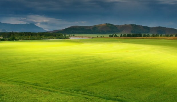 Nilüfer Konaklı’da 4700 m2 tarla satılık