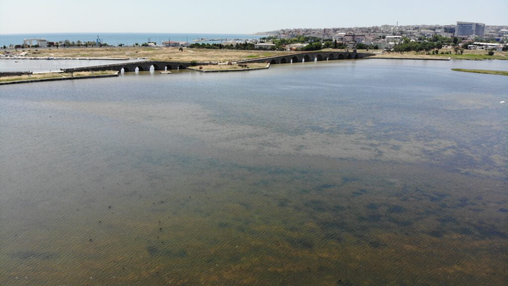 Büyükçekmece’de ölü balıklar kıyıya vurdu