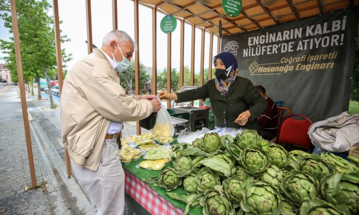 Hasanağa enginarına ulaşmak artık çok kolay