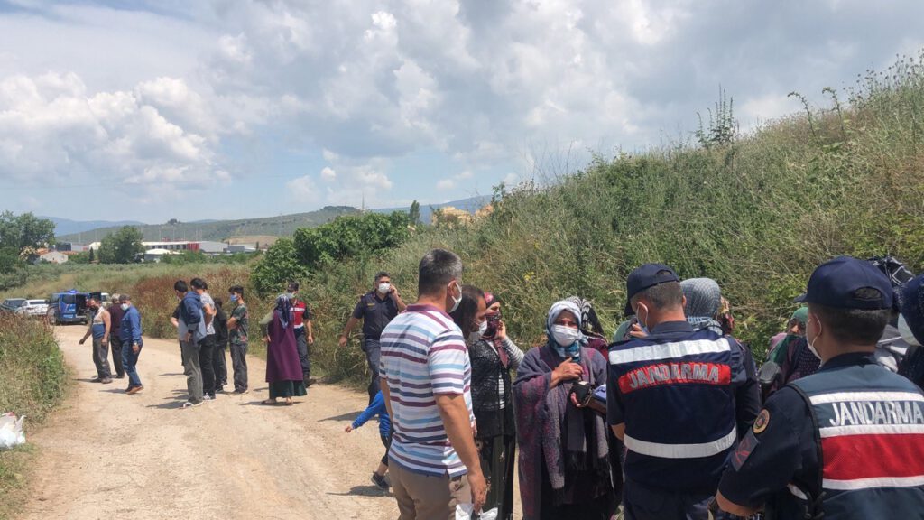 Midibüs zeytinliğe uçtu, yolcular ölümden döndü!