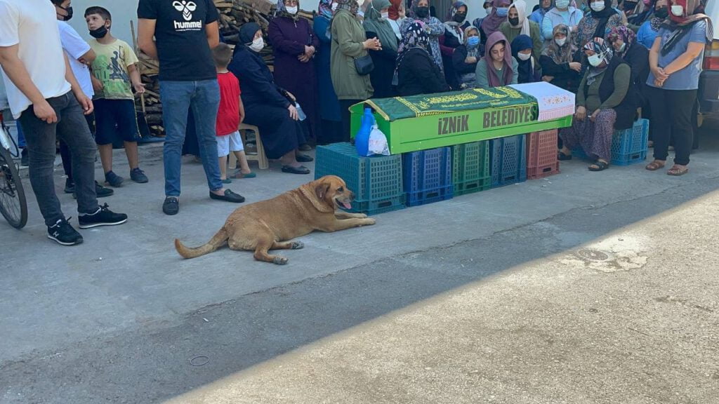 Tabutun başından bir an olsun ayrılmadı