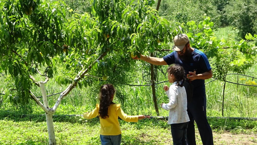 Turistler en çok bu bahçeyi seviyor