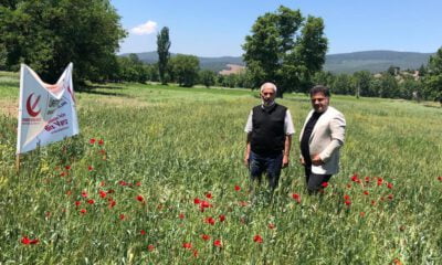Yeniden Refah’tan tarım hamlesi