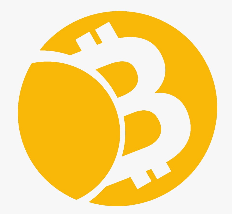 Dijital Para’da Türk damgası BİTCOLOJİX