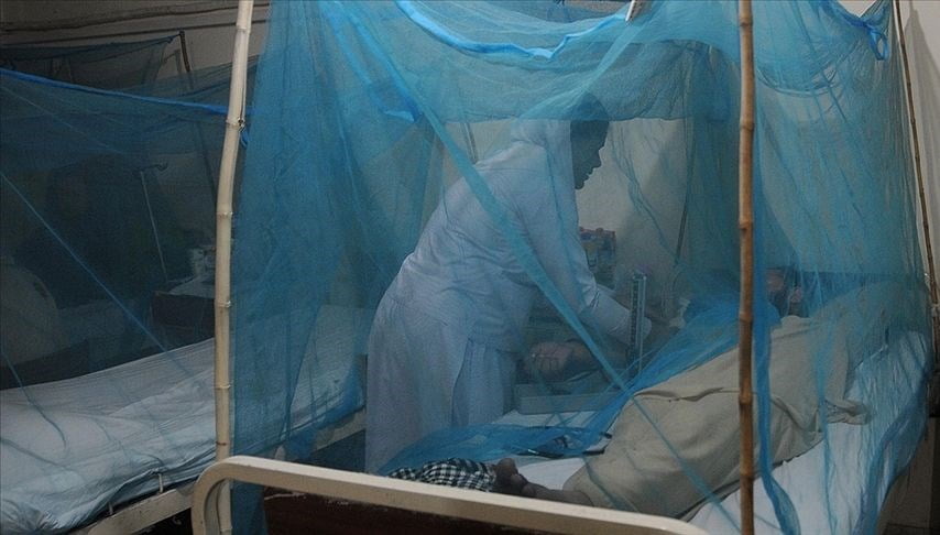 Bangladeş’te 13 dang humması vakası tespit edildi