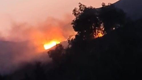 Bodrum’da makilik alanda yangın