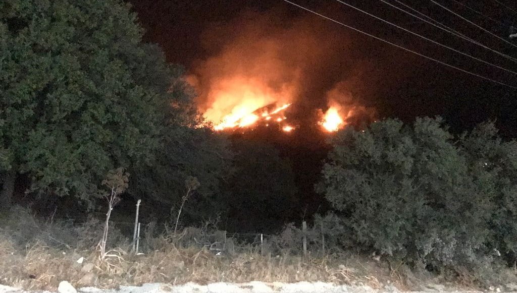 Bodrum’da makilik ve otluk alanda yangın