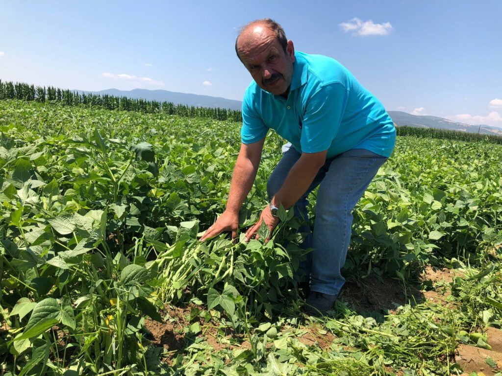 Bursa Fasulyesi̇ dünya mutfağında