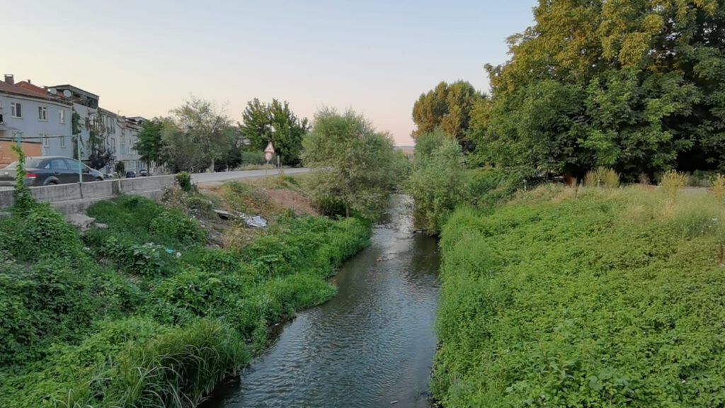 Bursa’da balık ölümleri tedirgin ediyor