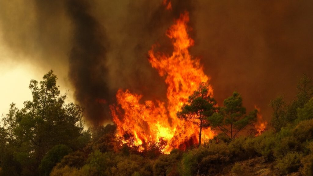 Bursa’da ormanlara girmek 1 ay yasaklandı