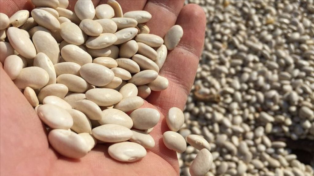 Güçlü kemikler için 20 besin