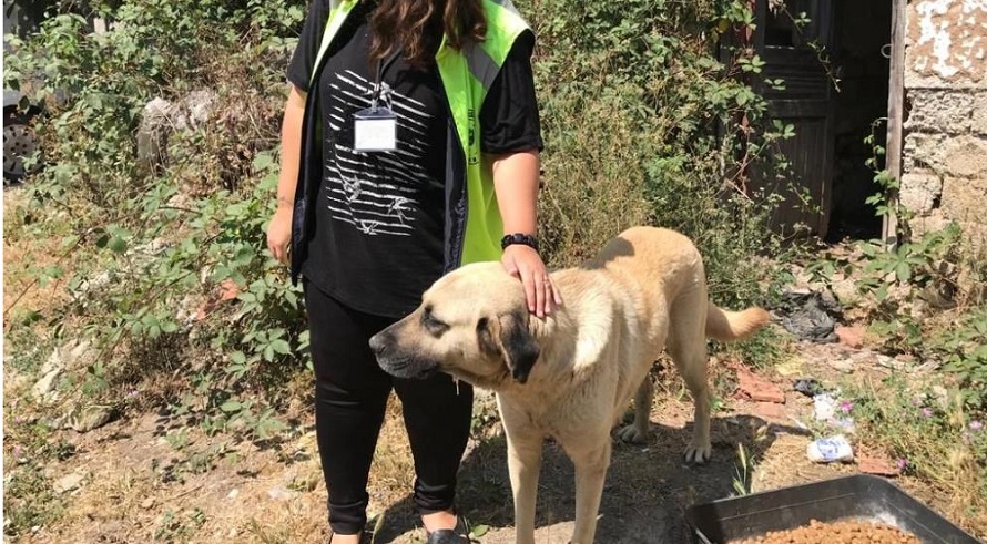 Bursa’da sahipsiz hayvanlar da bayram etti