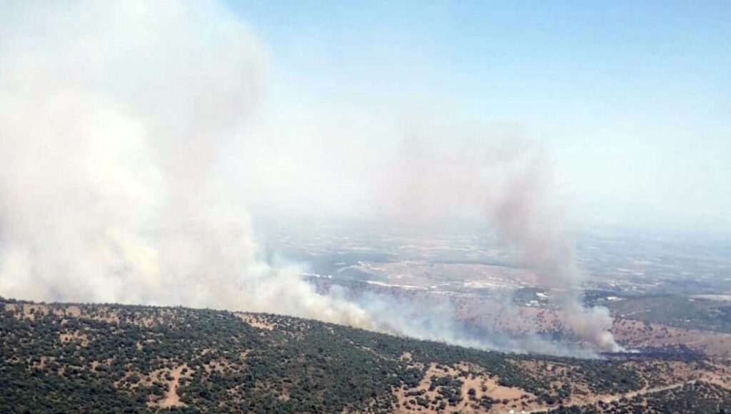 Manisa’da makilik alanda yangın