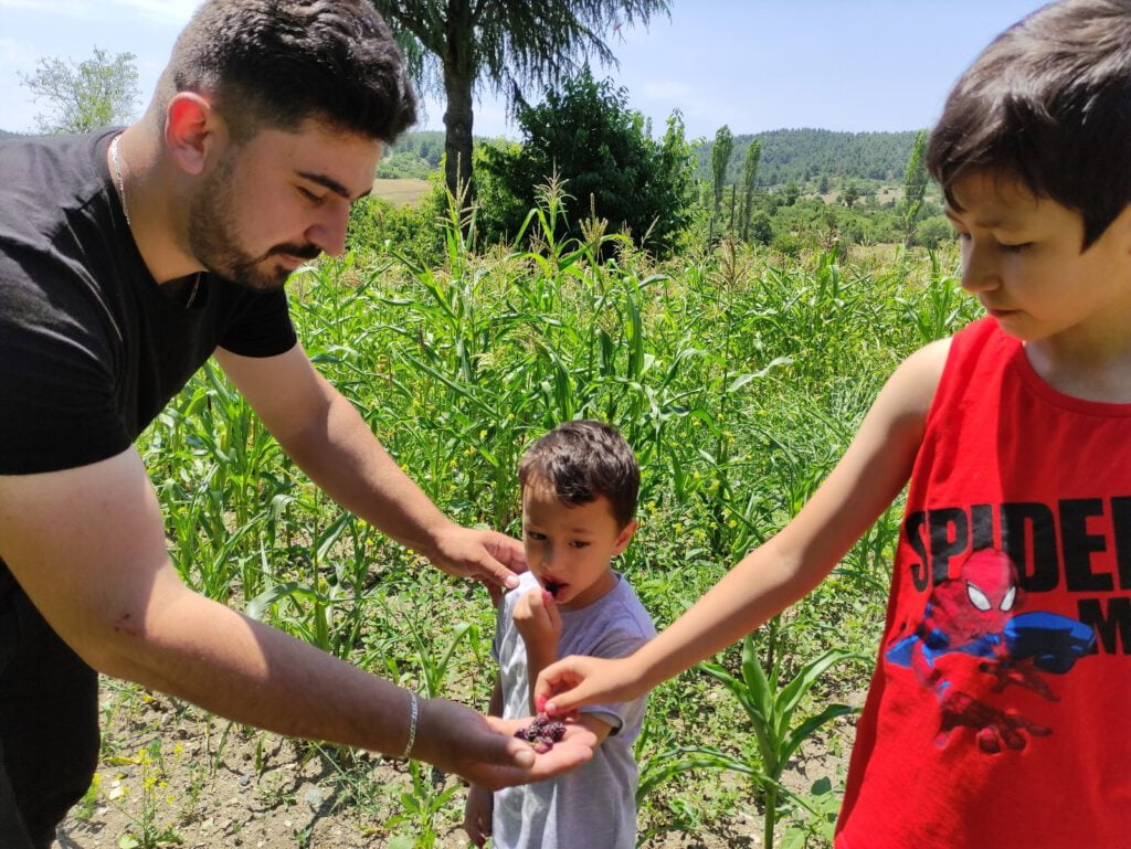 Meyve ve sebzeleri ücretsiz dağıtıyor