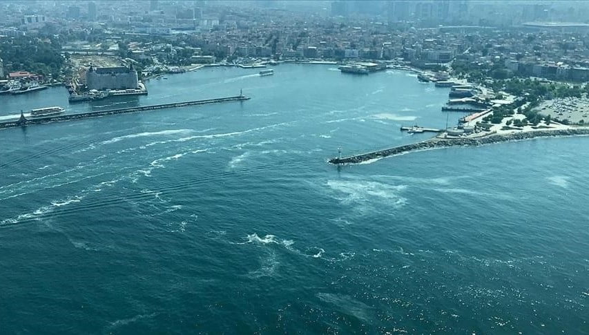 Müsilaja karşı çalışmalar desteklenecek