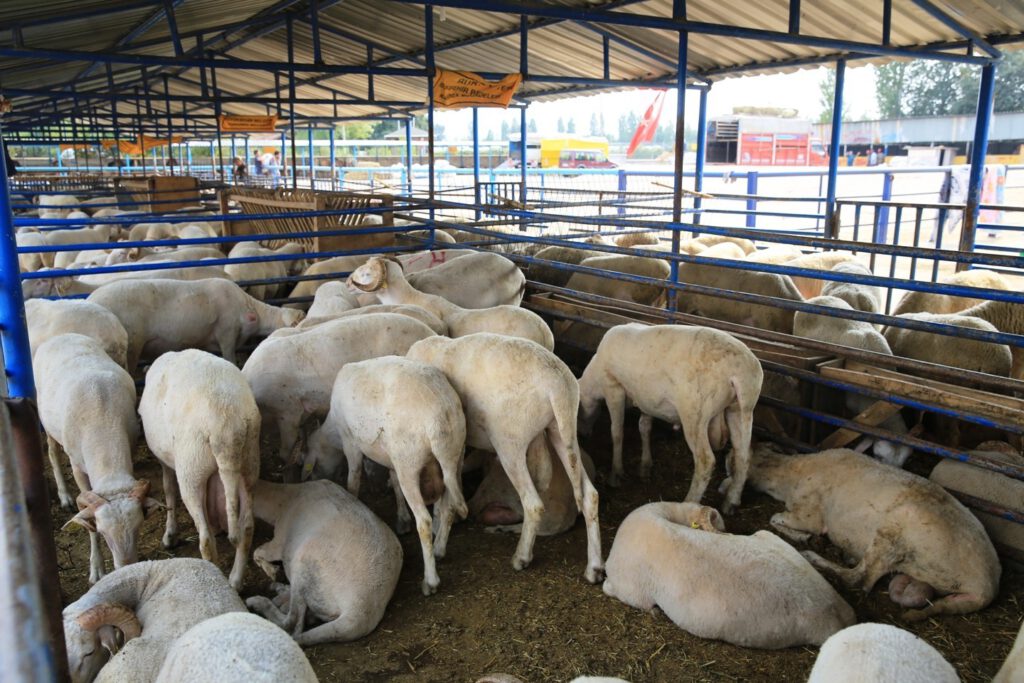 Ni̇lüferde kurban kesi̇m yerleri̇ beli̇rlendi̇