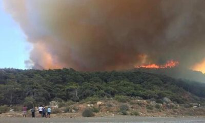 Antalya’da orman yangını