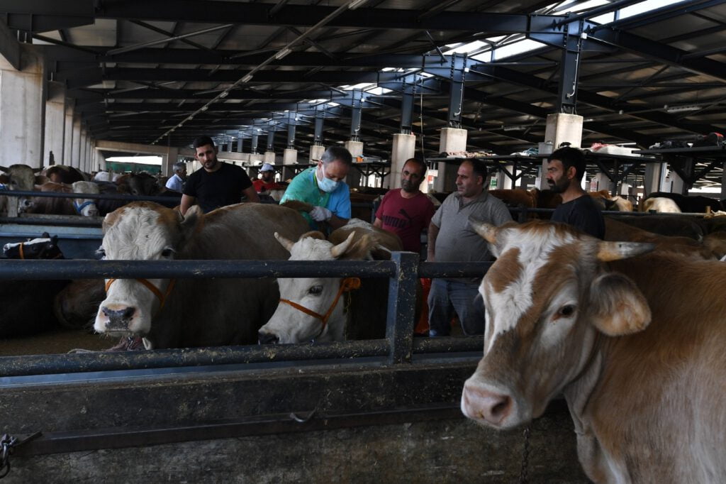 Osmangazi̇’de sağlıksız kurbanlıklara yer yok!