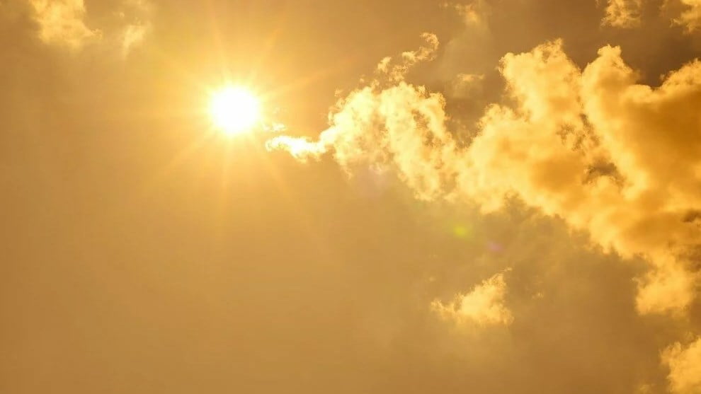 Polonya’da sıcaklardan 157 kişi hayatını kaybetti