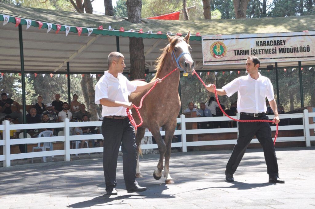 TİGEM, 3 milyon 112 bin TL’lik gelir elde etti