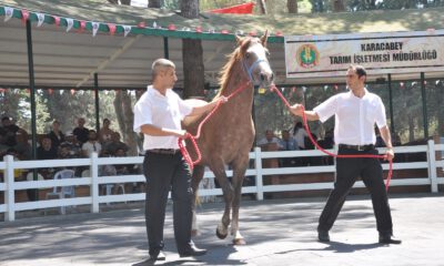 TİGEM, 3 milyon 112 bin TL’lik gelir elde etti