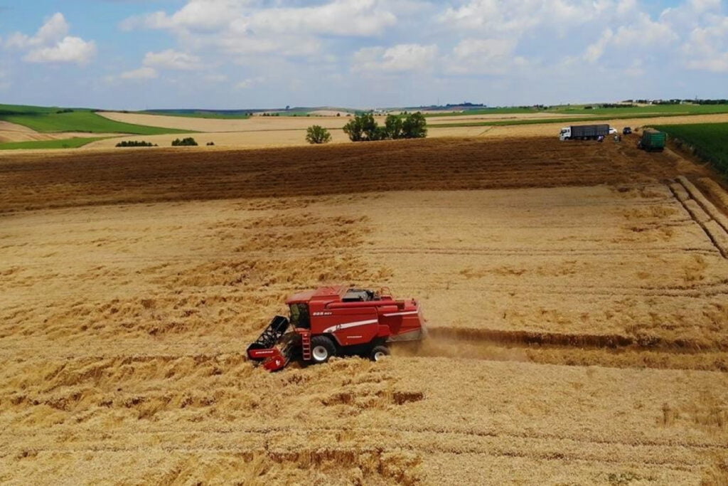 Doğuda kuraklık, Trakya’da  bolluk!