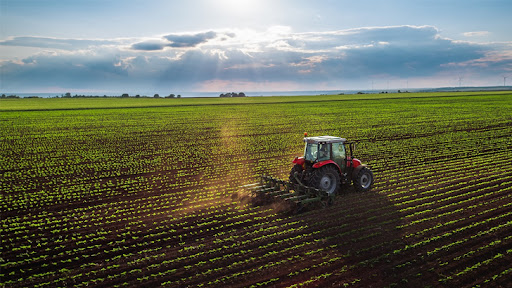 Balıkesir’de 11.925 m² tarla satılıktır