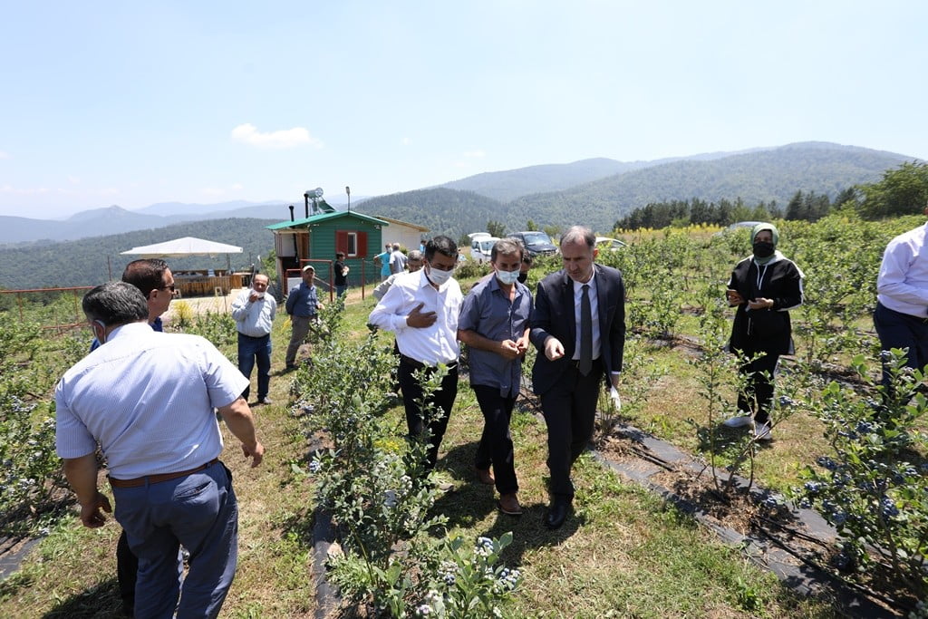 Yaban mersi̇ni̇nde hedef 20 bi̇n ton