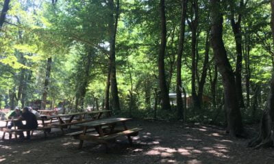 Belgrad Ormanı adeta ıssızlığa büründü